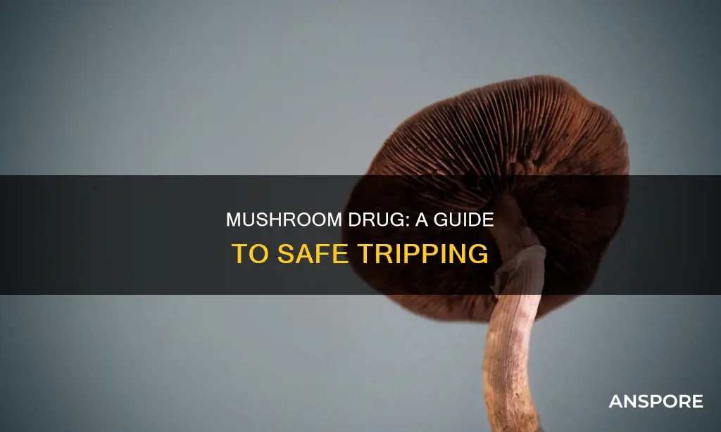 how to do mushroom drug