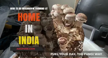 Home Mushroom Farming Guide: Simple Steps for Indian Growers