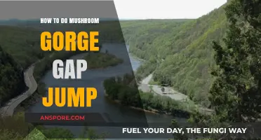 Mastering the Mushroom Gorge Gap Jump: A Step-by-Step Guide