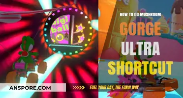 Mastering Mushroom Gorge Ultra Shortcut: Tips for Speedrunners
