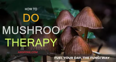 Mushroom Therapy: A Guide to Healing with Psychedelics
