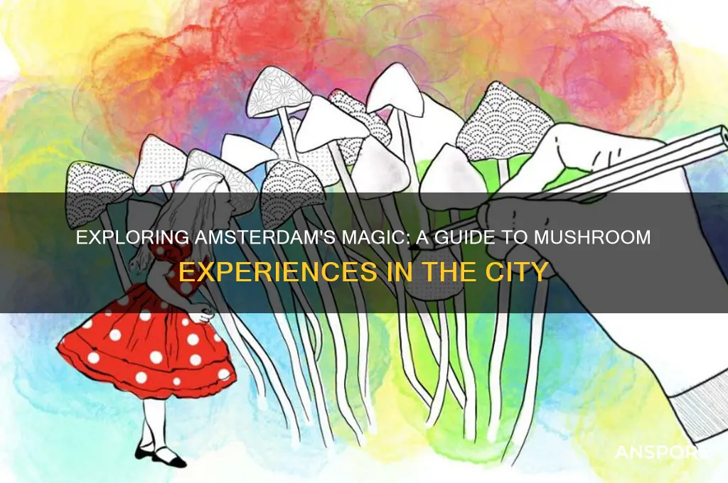 how to do mushrooms in amsterdam