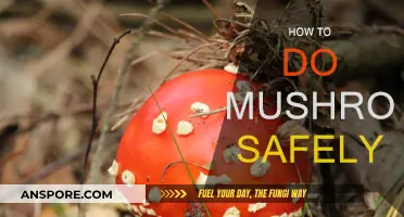 Safe Trip: A Guide to Smart Shrooming