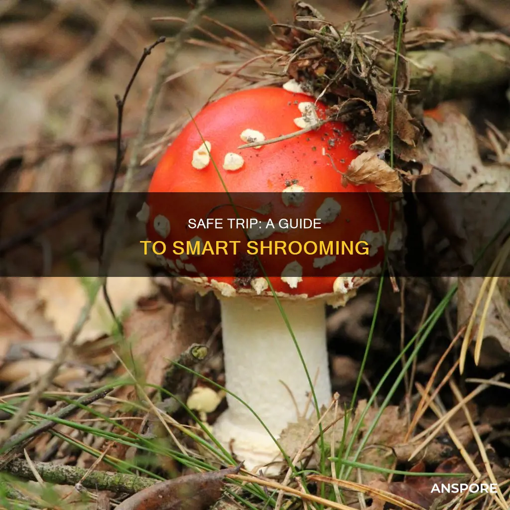 how to do mushrooms safely