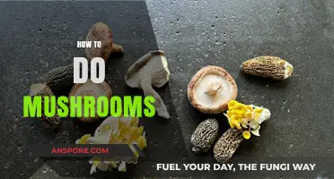 Tripping on Shrooms: A Beginner's Guide