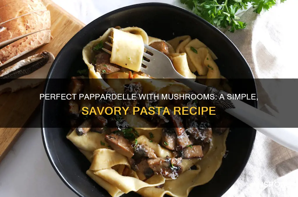 how to do pappardelle with mushrooms