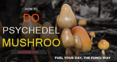 Tripping on Shrooms: A Beginner's Guide to Psychedelics