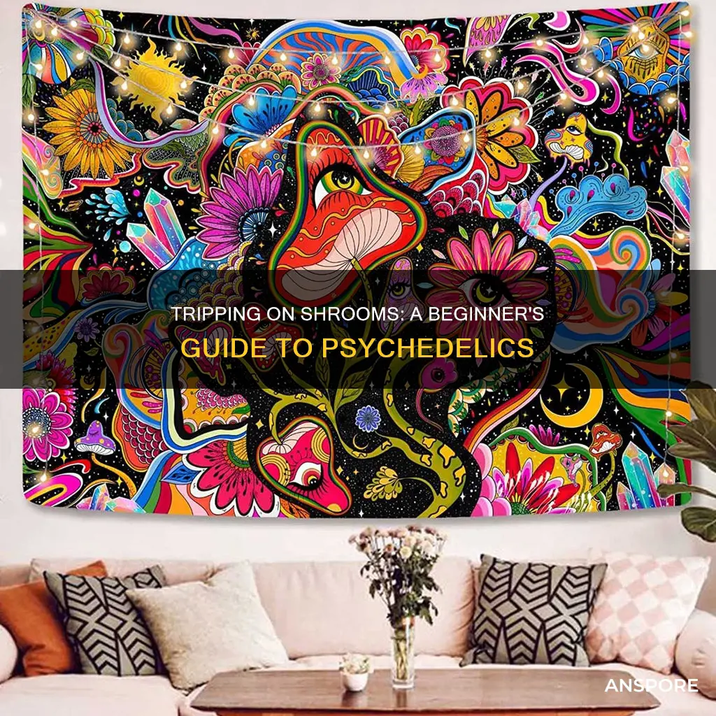 how to do psychedelic mushrooms
