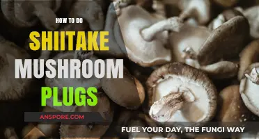 Mastering Shiitake Mushroom Plugs: A Step-by-Step Cultivation Guide