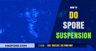 Mastering Spore Suspension: A Step-by-Step Guide for Beginners