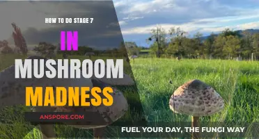 Mastering Mushroom Madness: Strategies to Conquer Stage 7 Successfully