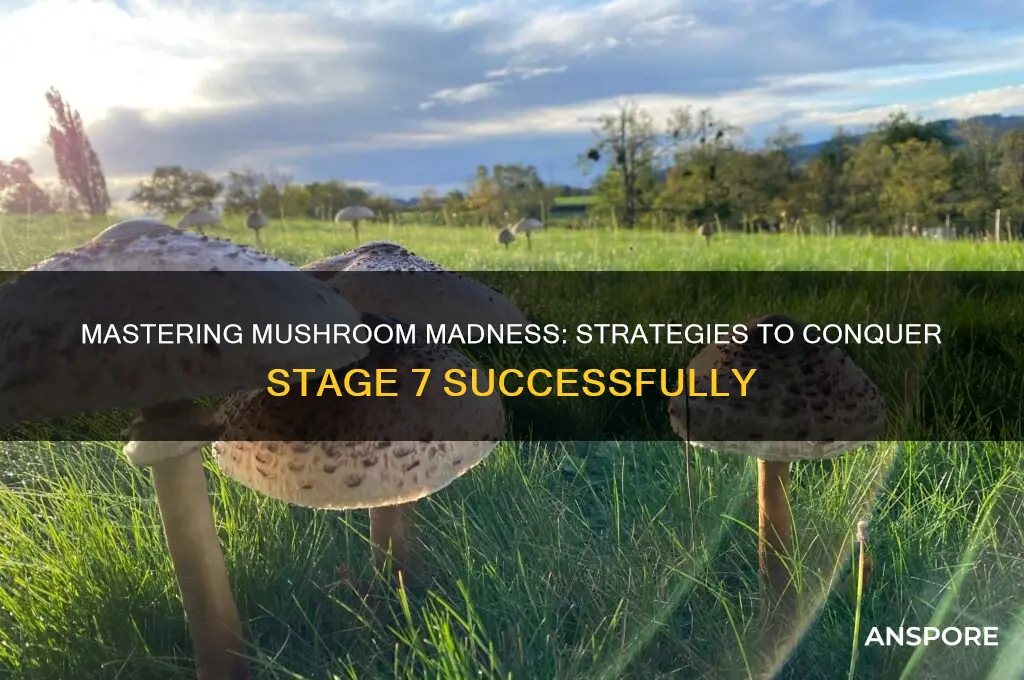 how to do stage 7 in mushroom madness