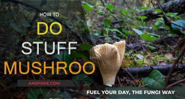 Exploring the Magical World of Mushroom Cultivation