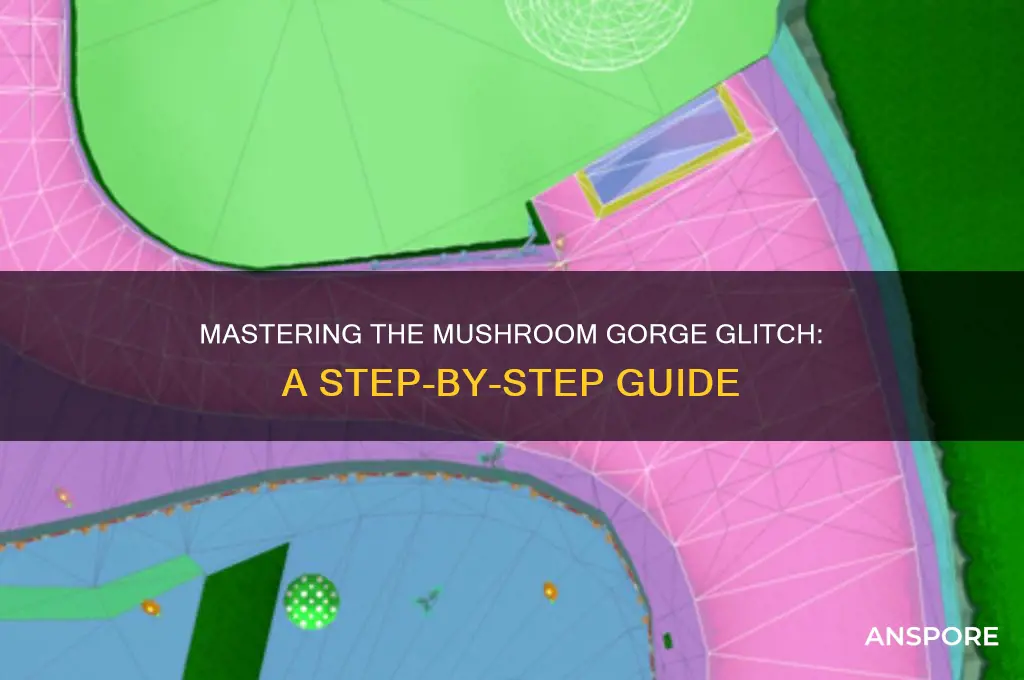 how to do the mushroom gorge glitch