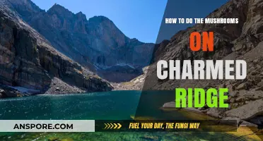 Mastering Mushroom Foraging on Charmed Ridge: A Step-by-Step Guide