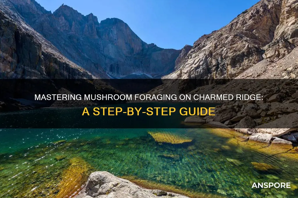 how to do the mushrooms on charmed ridge