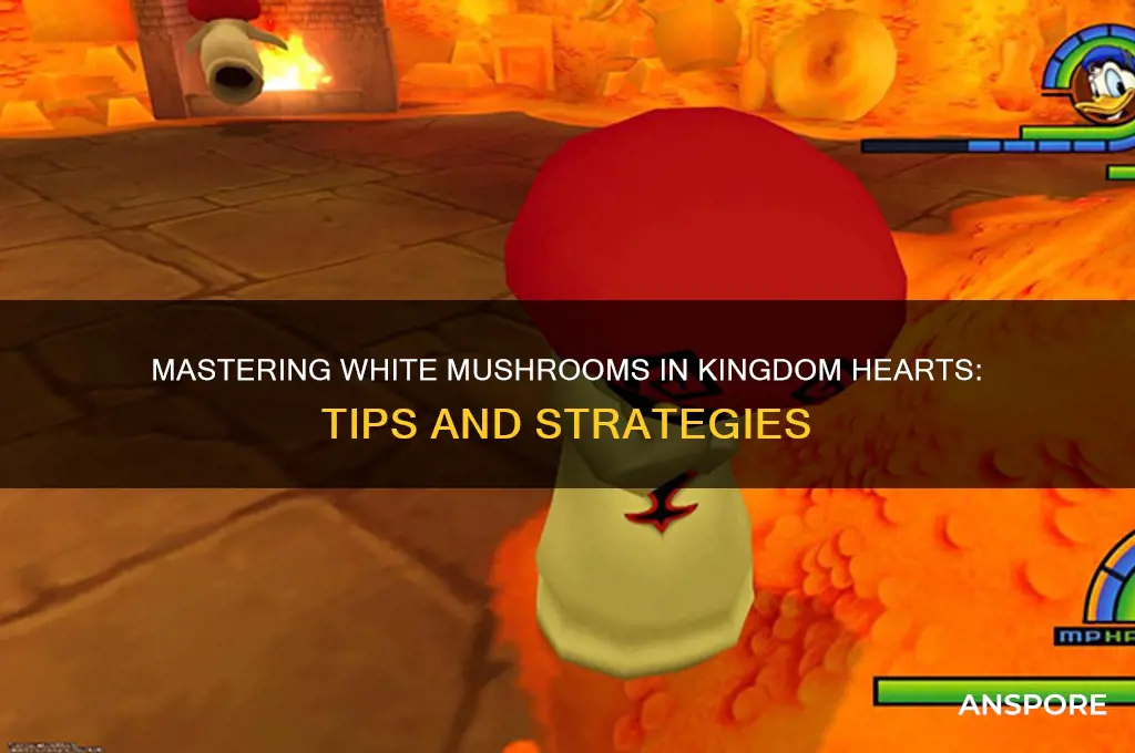 how to do white mushrooms kingdom hearts