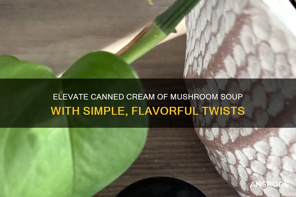 how to doctor up canned cream of mushroom soup