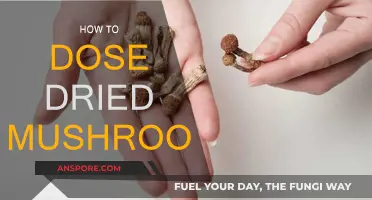 Dried Mushroom Dosing: A Comprehensive Guide