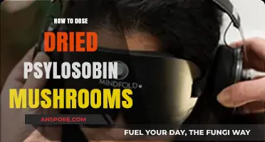 Mastering Dried Psilocybin Mushroom Dosage: A Beginner's Guide