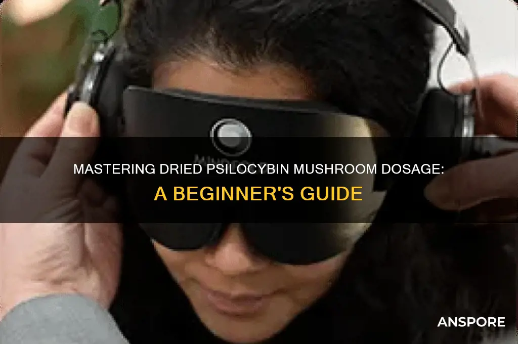 how to dose dried psylosobin mushrooms