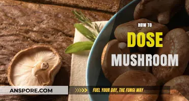 Microdosing Magic Mushrooms: A Beginner's Guide