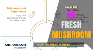Mastering Fresh Mushroom Dosing: A Beginner's Guide to Safe Trips