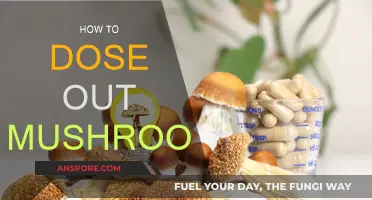 Tripping on Shrooms: A Guide to Dosing Magic Mushrooms