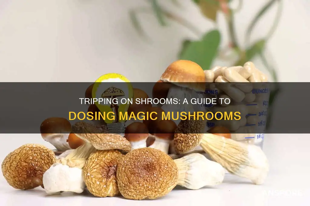 how to dose out mushrooms