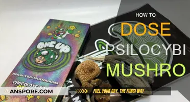Psilocybin Mushroom Dosing: A Safe Tripper's Guide