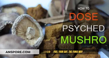 Tripping on Shrooms: A Guide to Safe Mushroom Dosing
