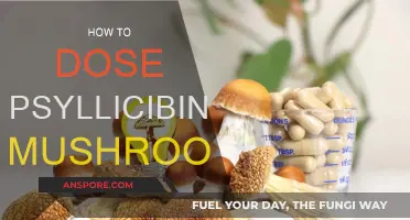 Microdosing Magic Mushrooms: A Beginner's Guide to Psilocybin