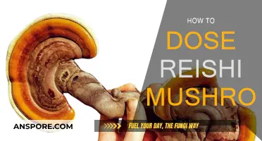 Reishi Mushroom Dosing: A Comprehensive Guide