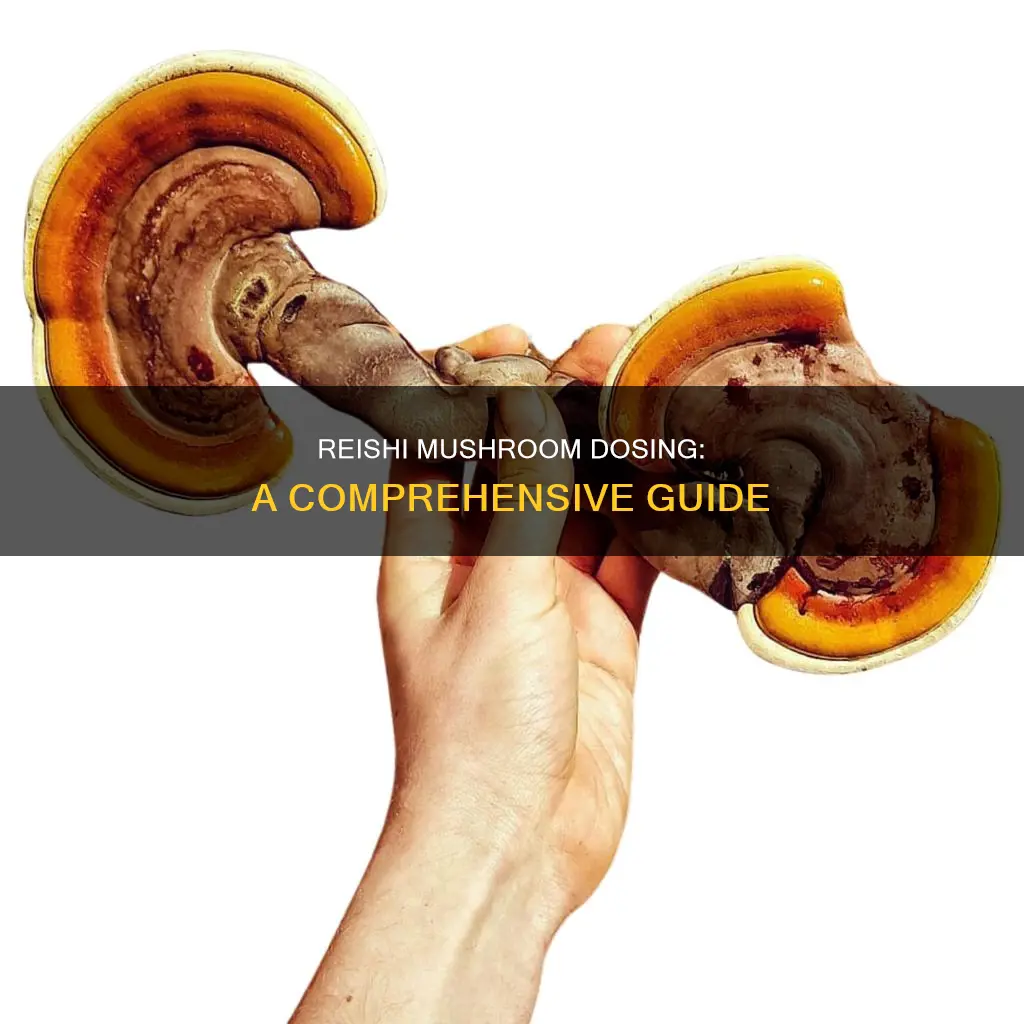 how to dose reishi mushrooms