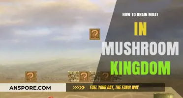 Efficiently Draining the Mushroom Kingdom's Moat: A Step-by-Step Guide