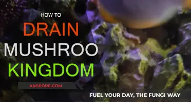 Drying Up the Mushroom Kingdom: A Comprehensive Guide