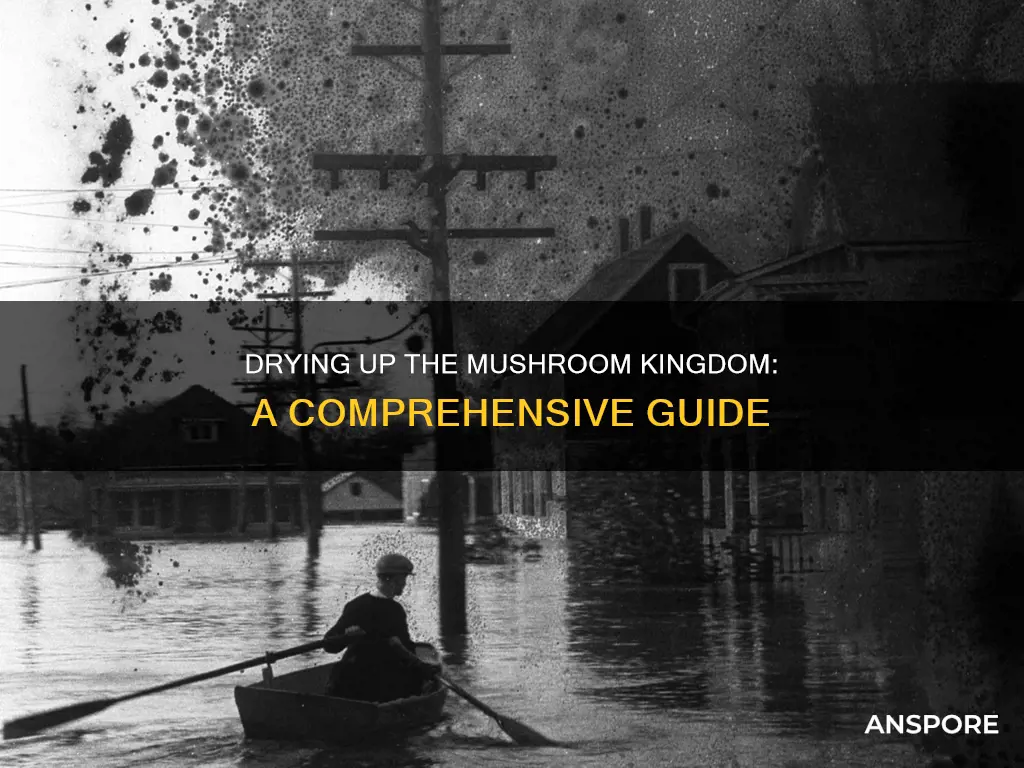 how to drain mushroom kingdom