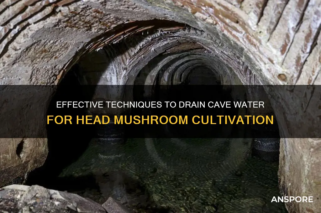 how to drain the cave water for the head mushroom
