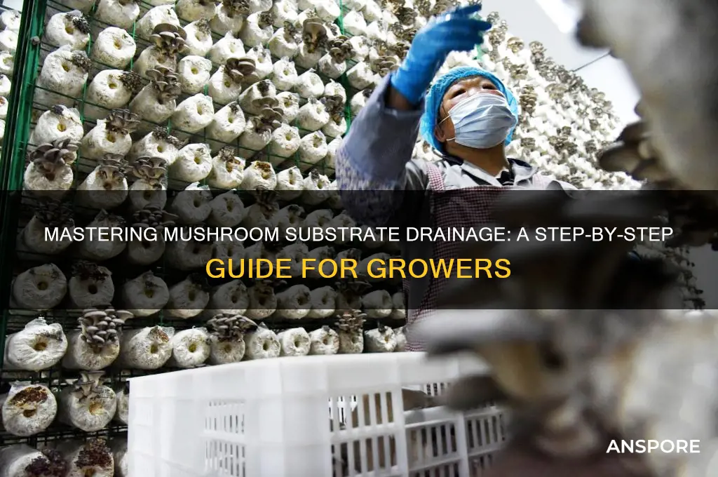 how to drain your mushroom substrate