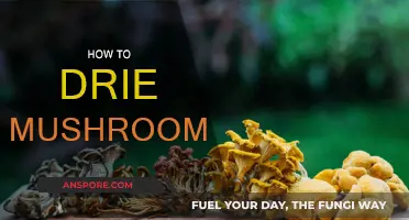 Drying Mushrooms: A Step-by-Step Guide