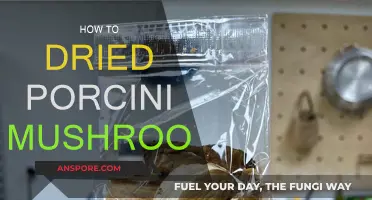 The Magic of Drying Porcini Mushrooms at Home