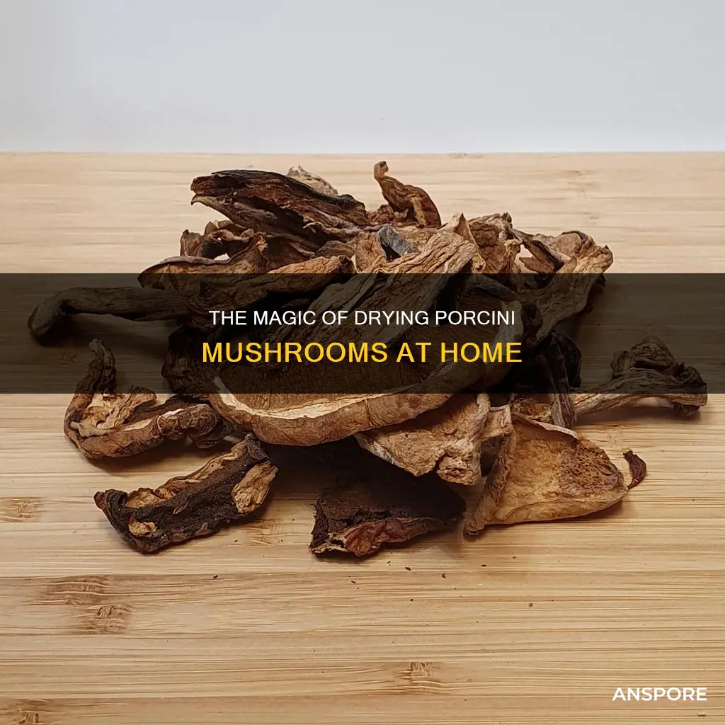 how to dried porcini mushrooms