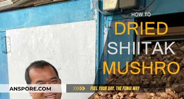 Drying Shiitake Mushrooms: Techniques and Benefits