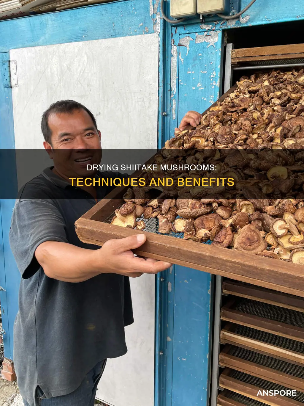 how to dried shiitake mushrooms