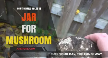 Drilling Holes in Jars for Mushroom Growing: A Step-by-Step Guide