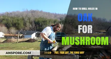 Drilling Oak Logs for Mushroom Cultivation: A Step-by-Step Guide