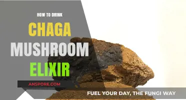 Mastering the Art of Drinking Chaga Mushroom Elixir for Optimal Health