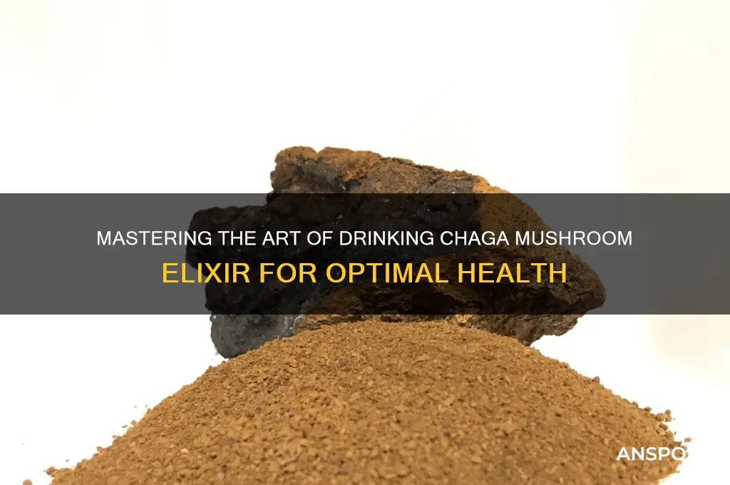 how to drink chaga mushroom elixir