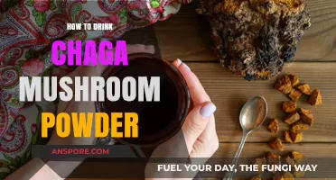 Unlocking Chaga's Benefits: A Simple Guide to Drinking Mushroom Powder