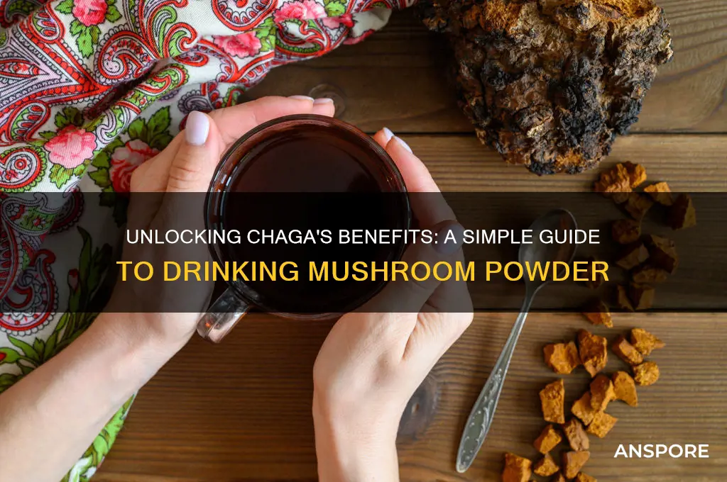 how to drink chaga mushroom powder